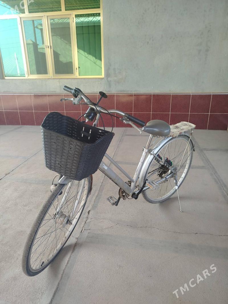 Welosepid 27 - Mary - img 1