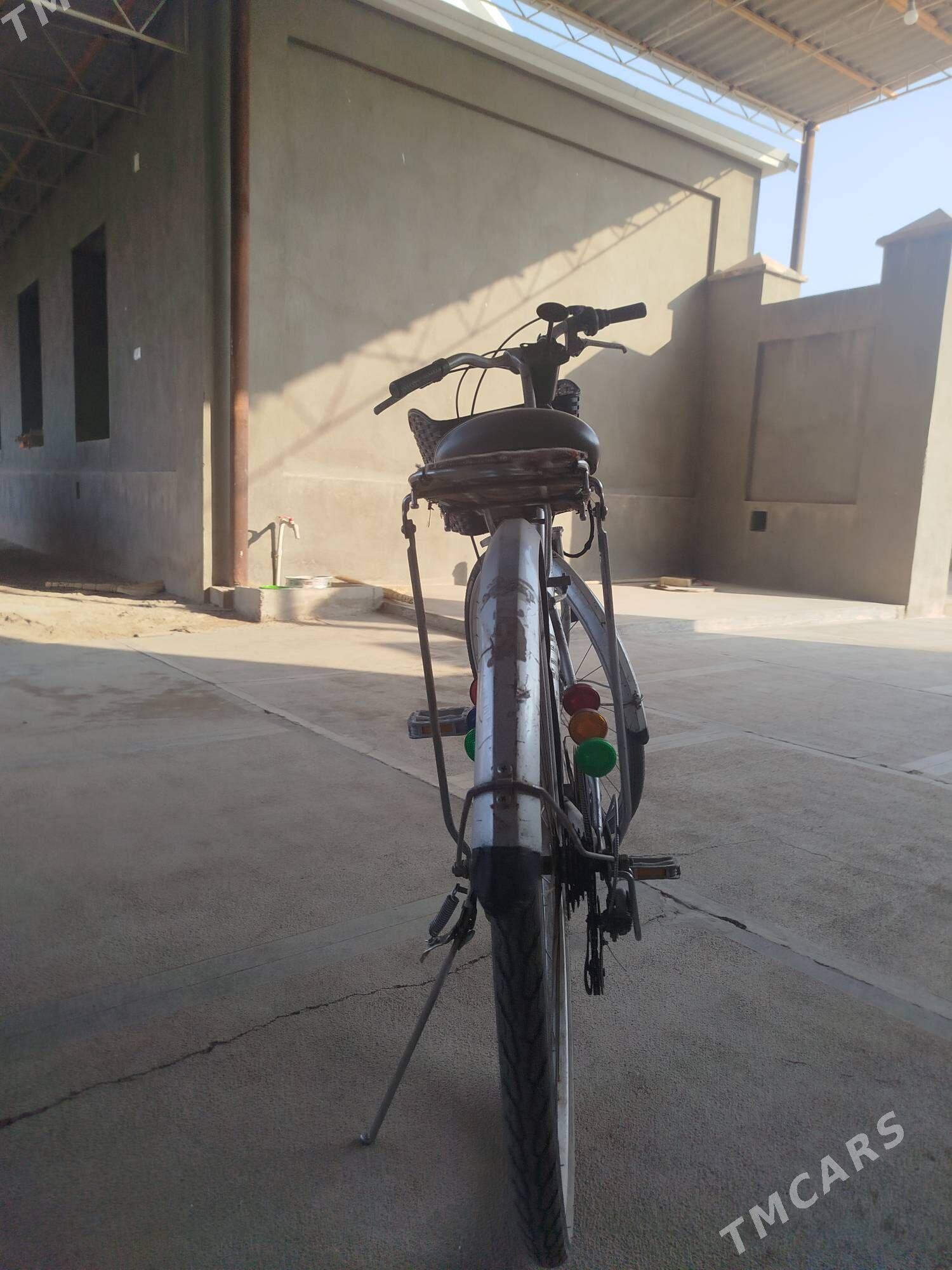 Welosepid 27 - Mary - img 2