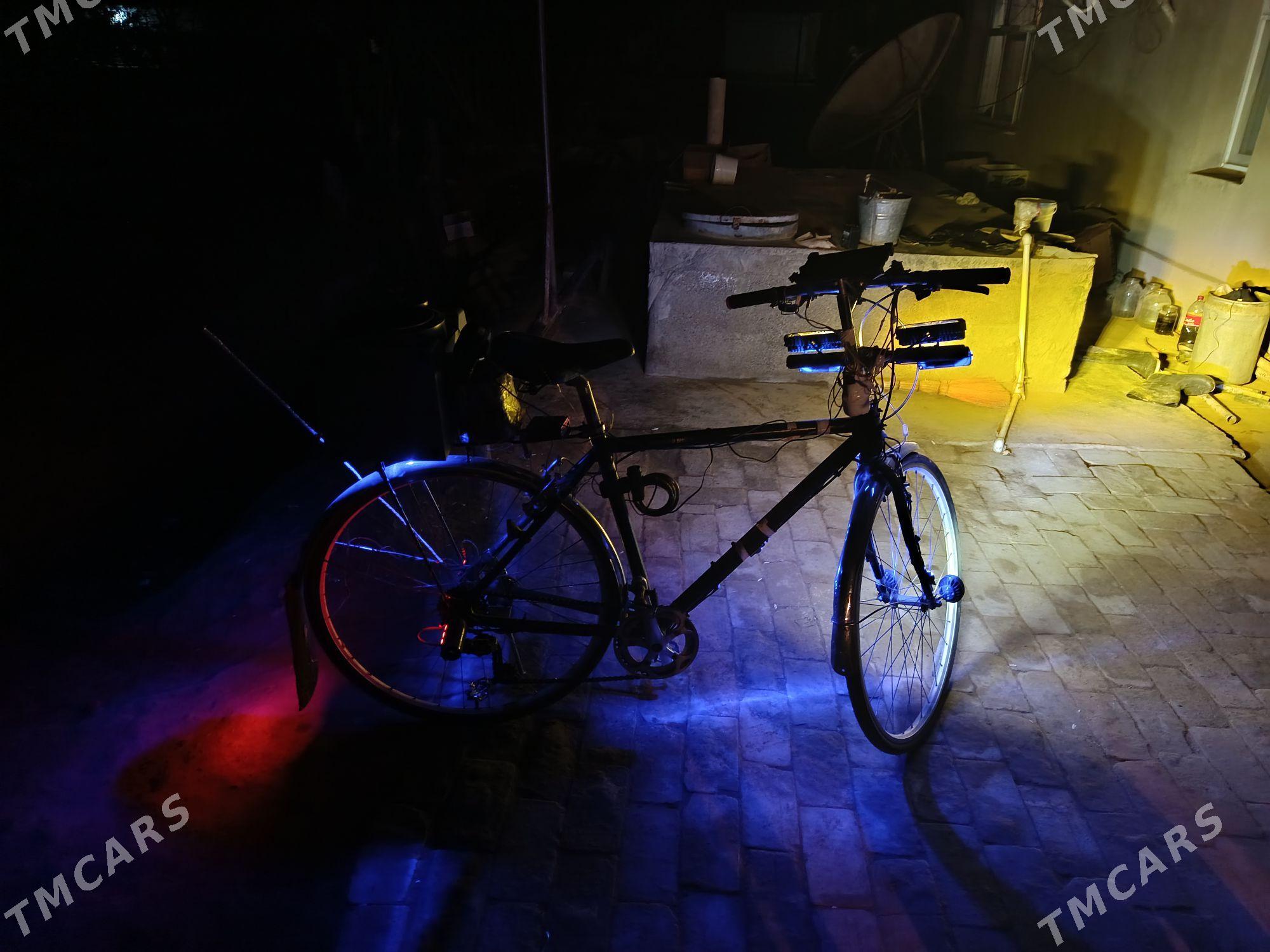 welik - Garagum etraby - img 3