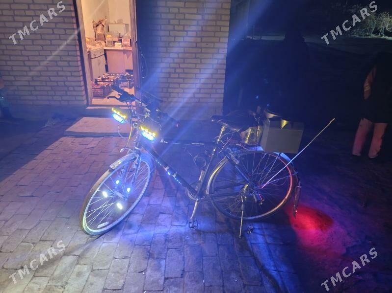 welik - Garagum etraby - img 1