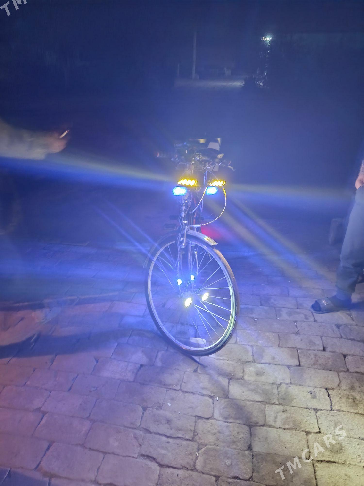 welik - Garagum etraby - img 4