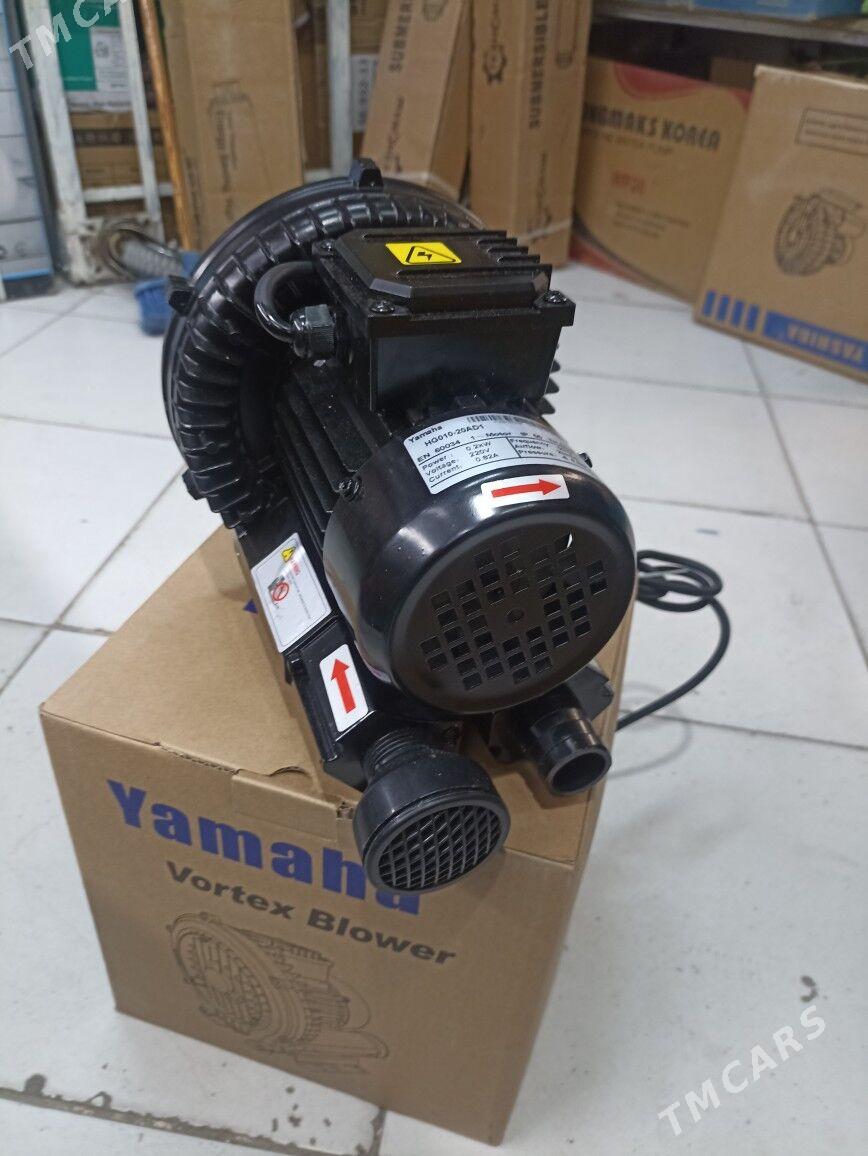 NASOS - "Altyn Asyr" Gündogar bazary (Jygyllyk) - img 1