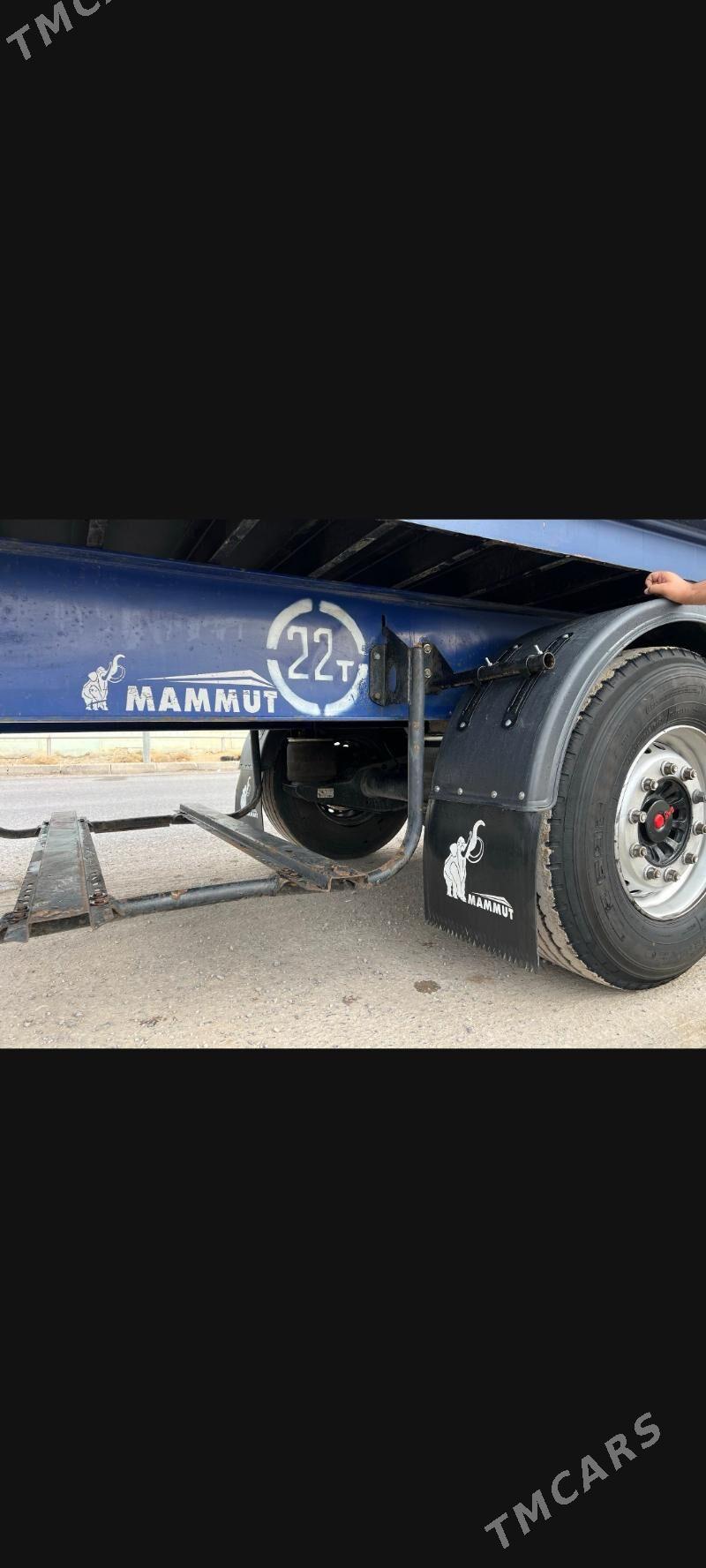 Kogel Cargo 2012 - 360 000 TMT - Mary - img 6