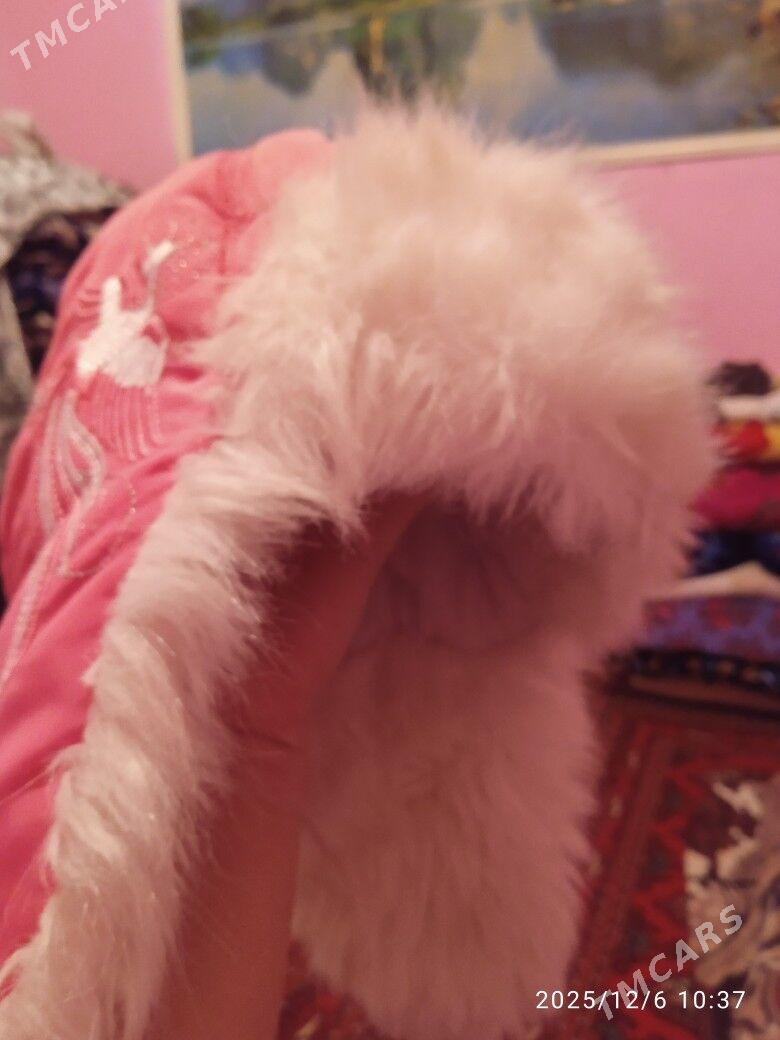 topby - Daşoguz - img 1