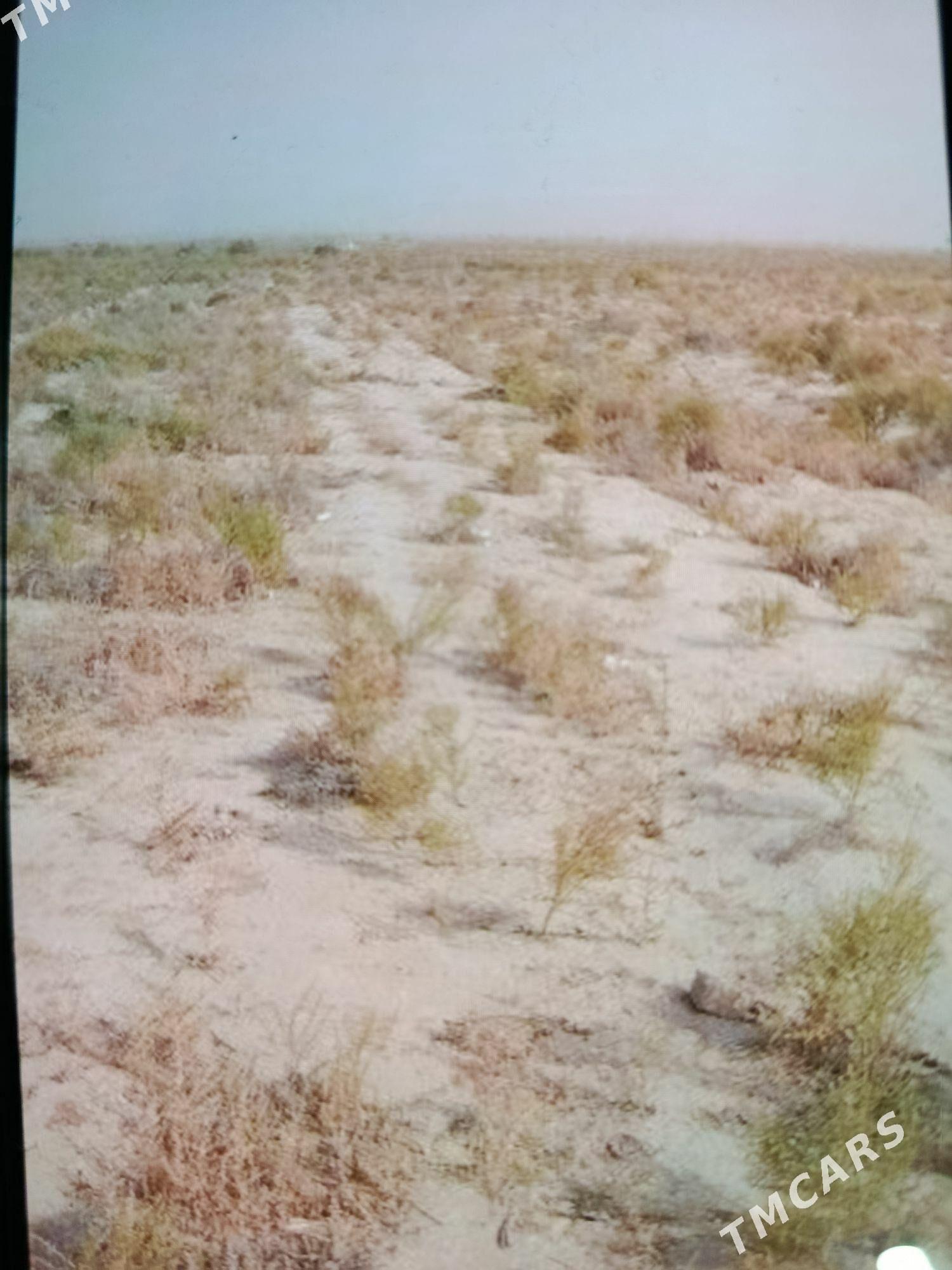 Mellek-Ýer: ( 8-Sotuk ) - Ёлётен - img 2