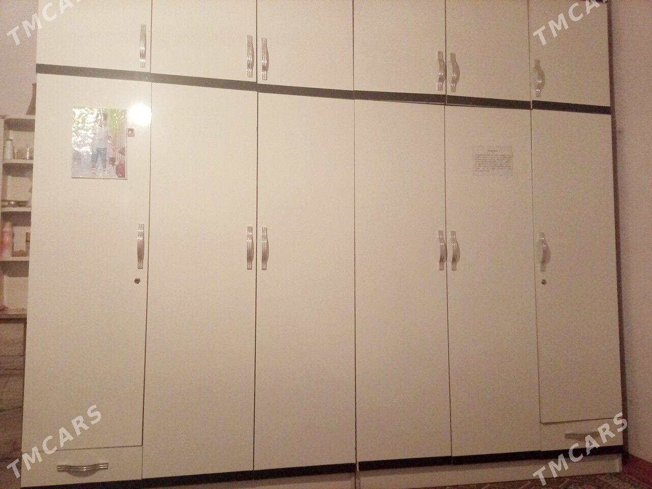 garnatur - Sakarçäge - img 2