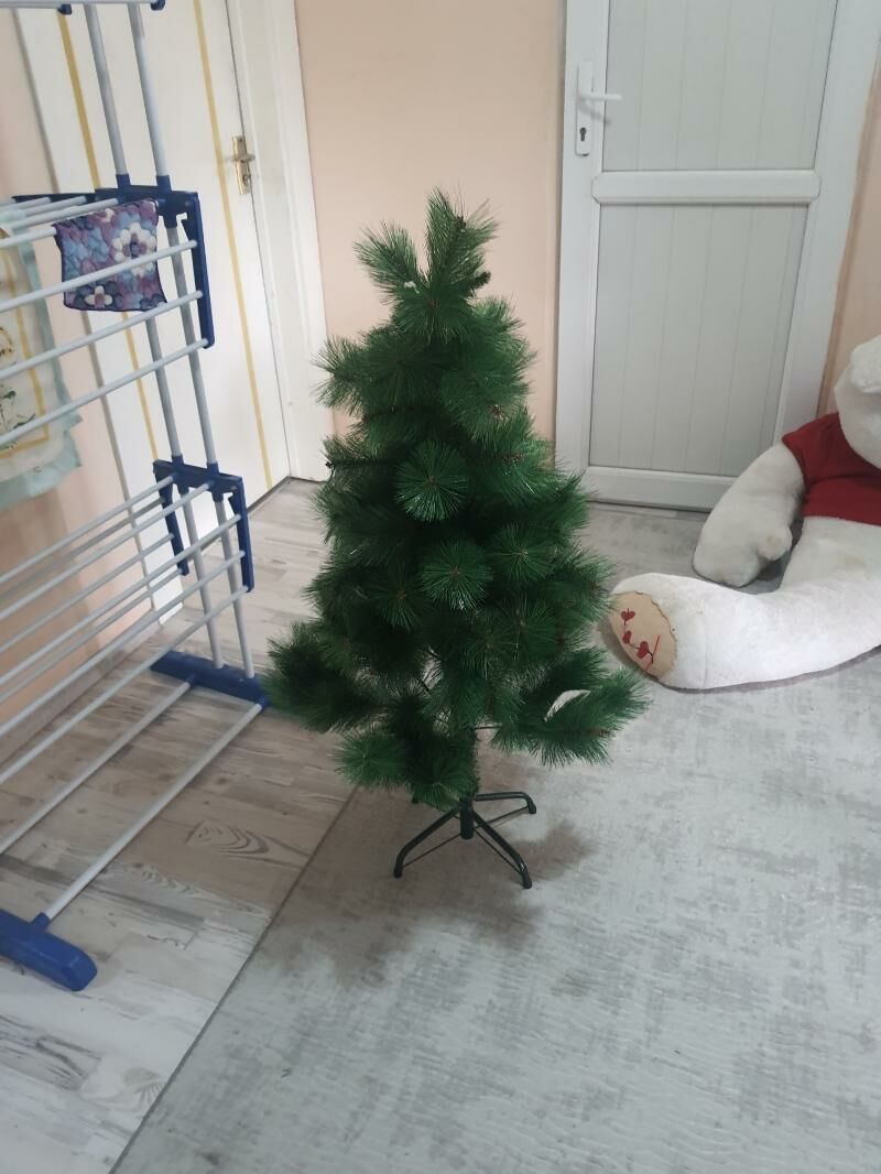 Елка - Büzmeýin GRES - img 4