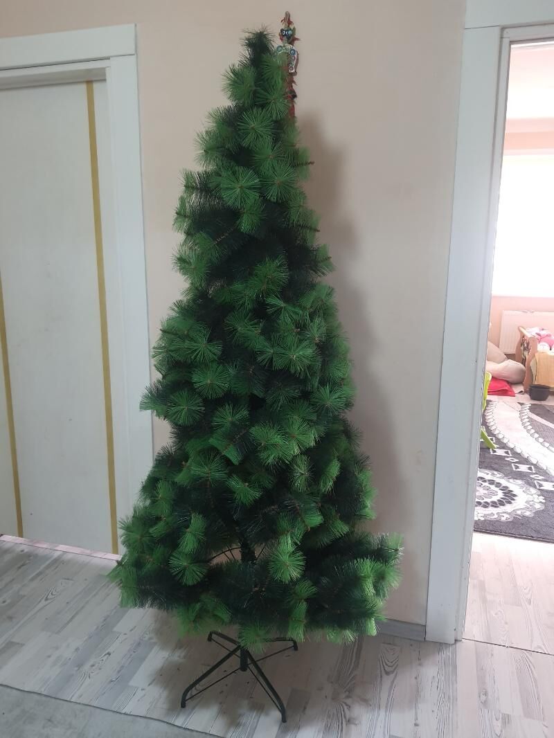 Елка - Büzmeýin GRES - img 3