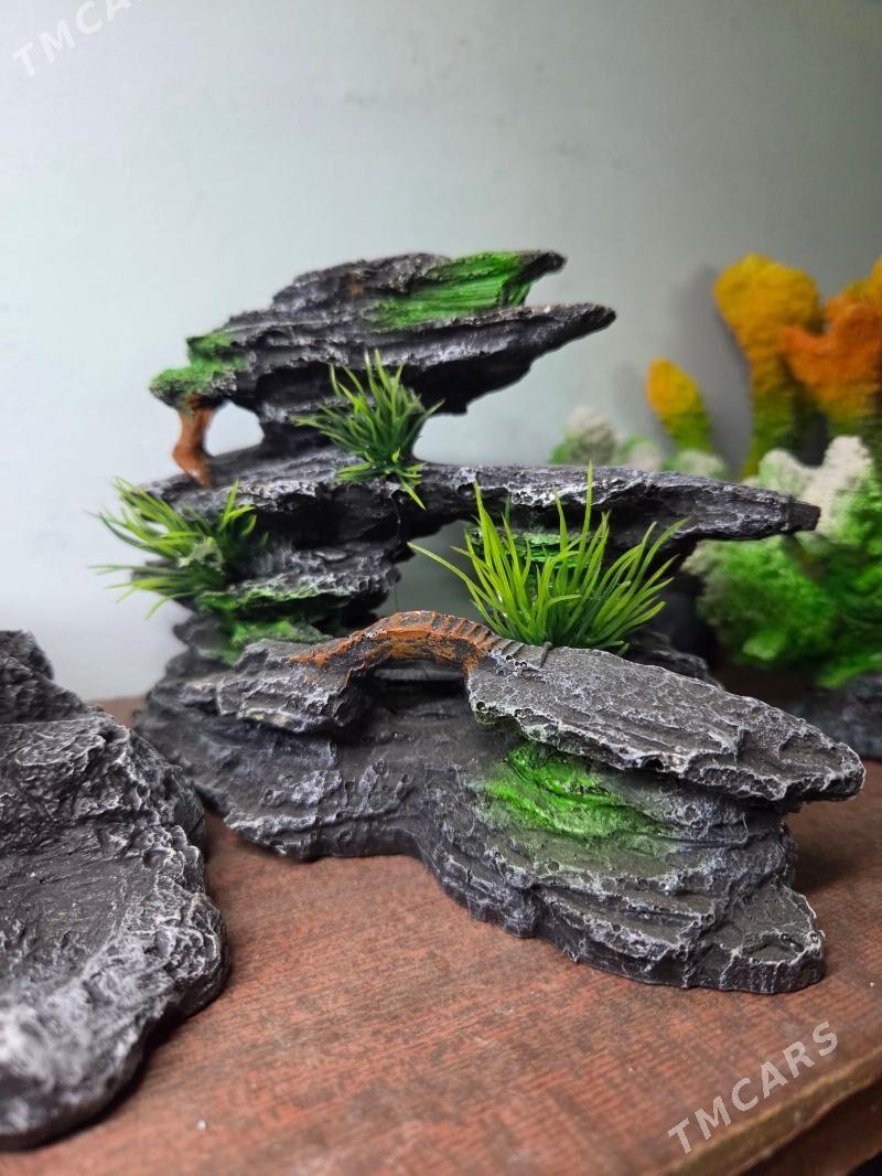 Аквариумные аксессуары - Ашхабад - img 8