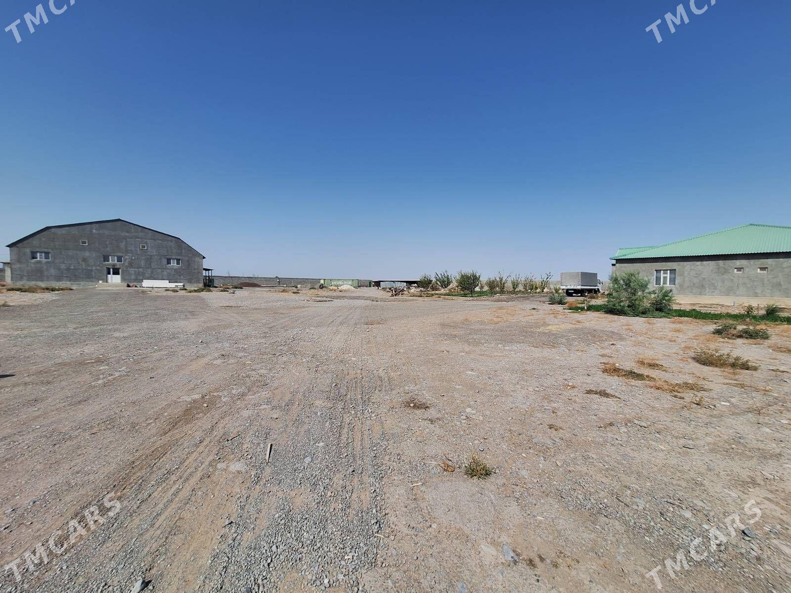 SATLYK TAYYN BIZNES 1.GEKDAR - Aşgabat - img 3