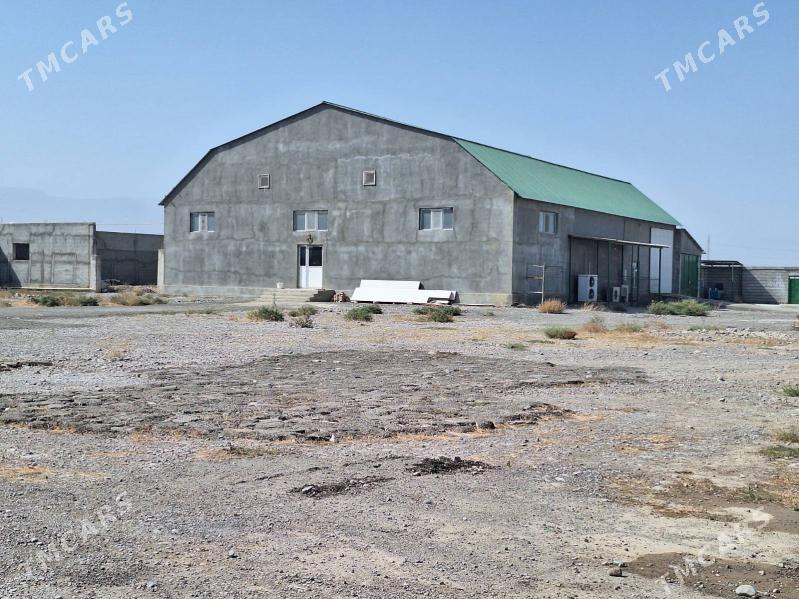 SATLYK TAYYN BIZNES 1.GEKDAR - Aşgabat - img 1
