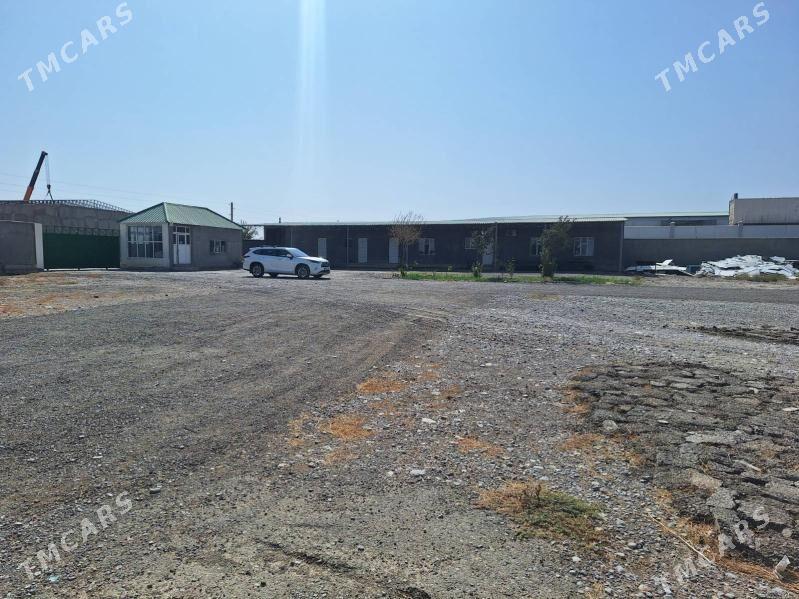 SATLYK TAYYN BIZNES 1.GEKDAR - Aşgabat - img 2