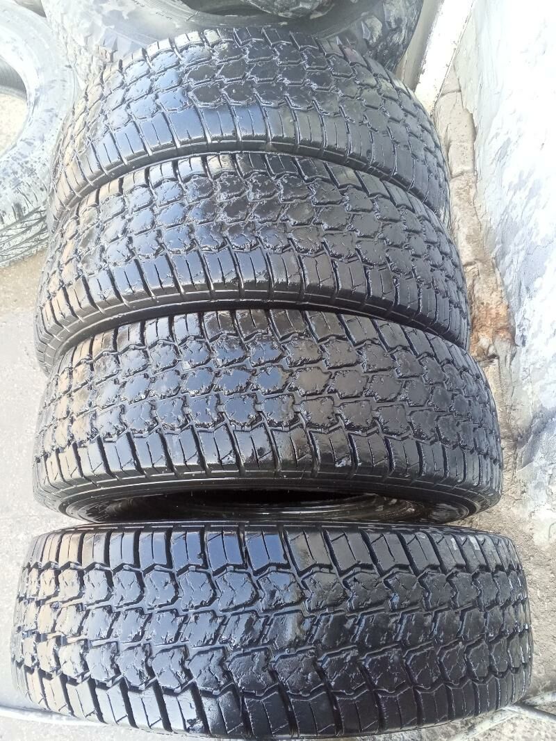 235.45.18 1 100 TMT - Mary - img 3