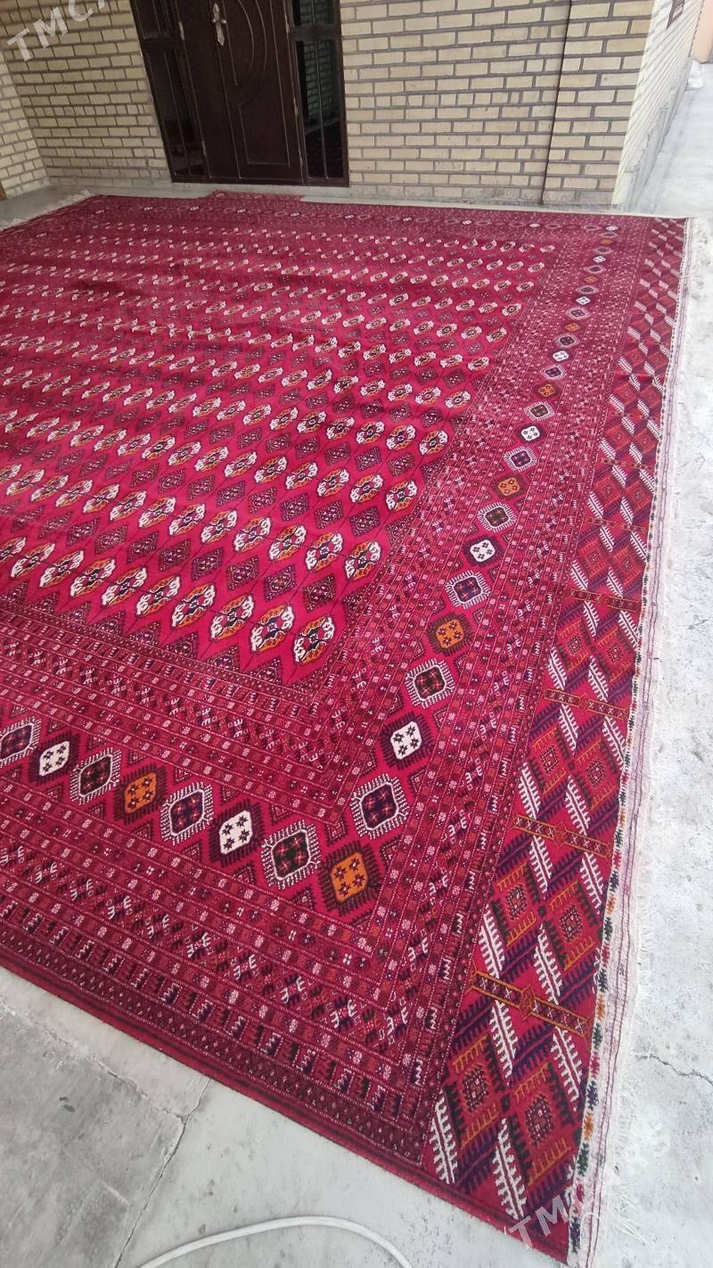 el haly 5.50/5.50 - Бахарден - img 2