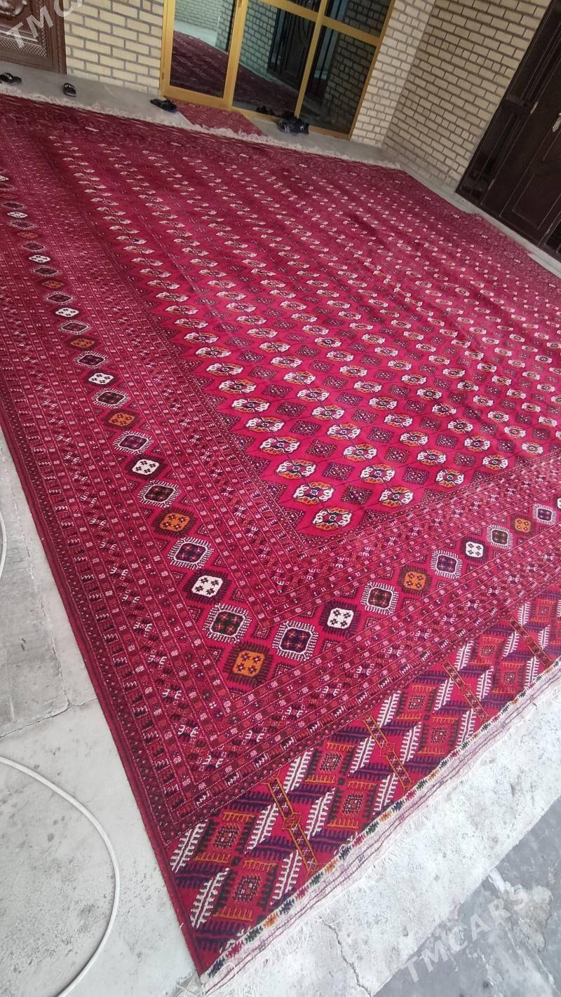 el haly 5.50/5.50 - Бахарден - img 3