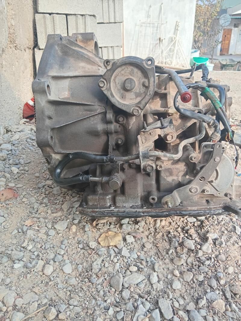 karopga 3 000 TMT - Анев - img 2