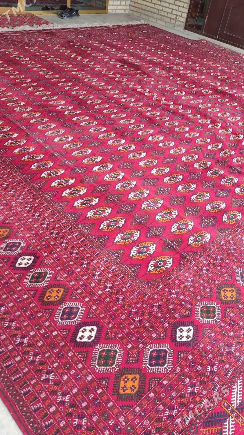 el haly 5.50/5.50 - Бахарден - img 1