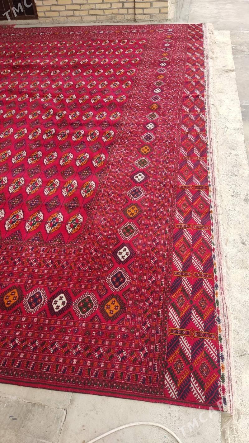 el haly 5.50/5.50 - Бахарден - img 4