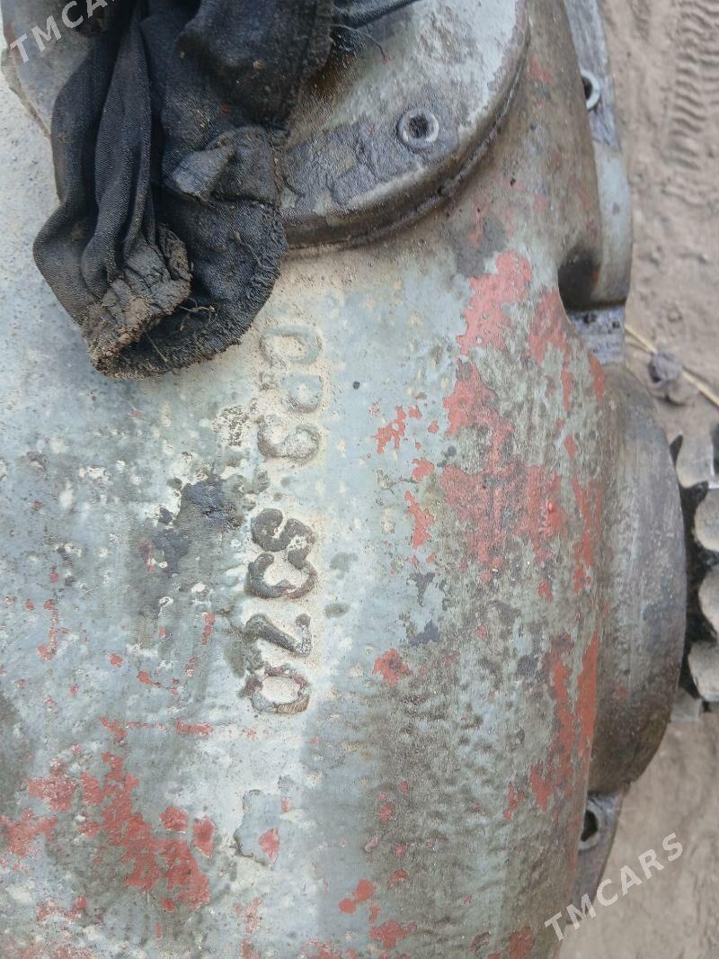 redukdyr - Яшлык - img 2