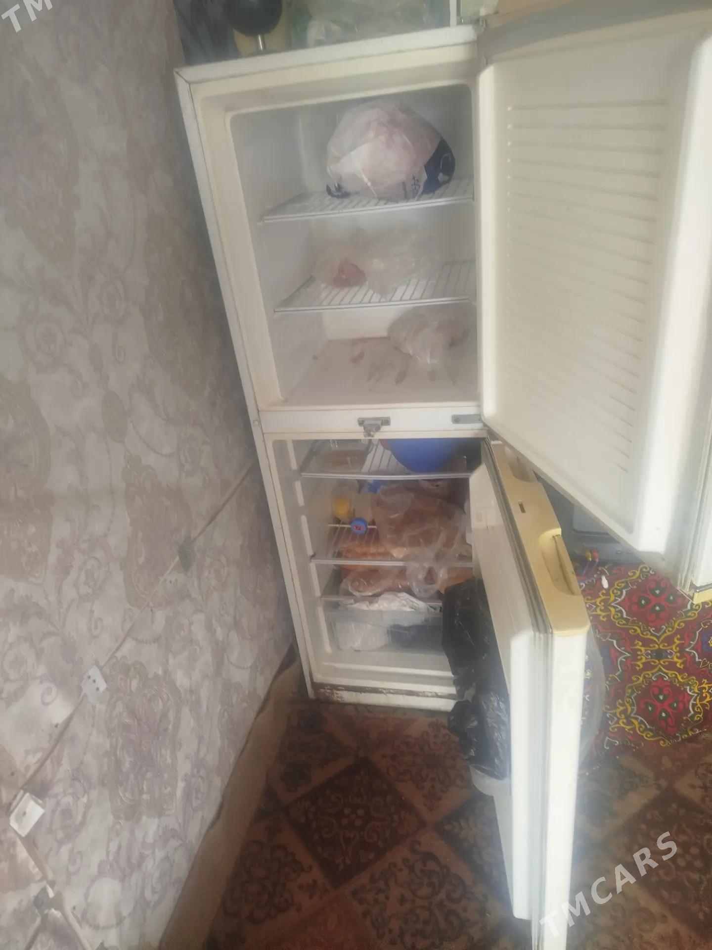 Haladilnik - Анев - img 2