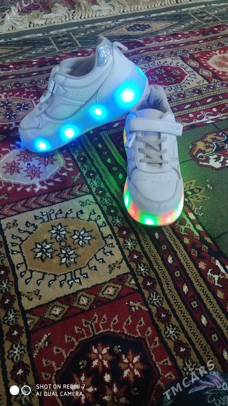 Krasowka rolik - Änew - img 1