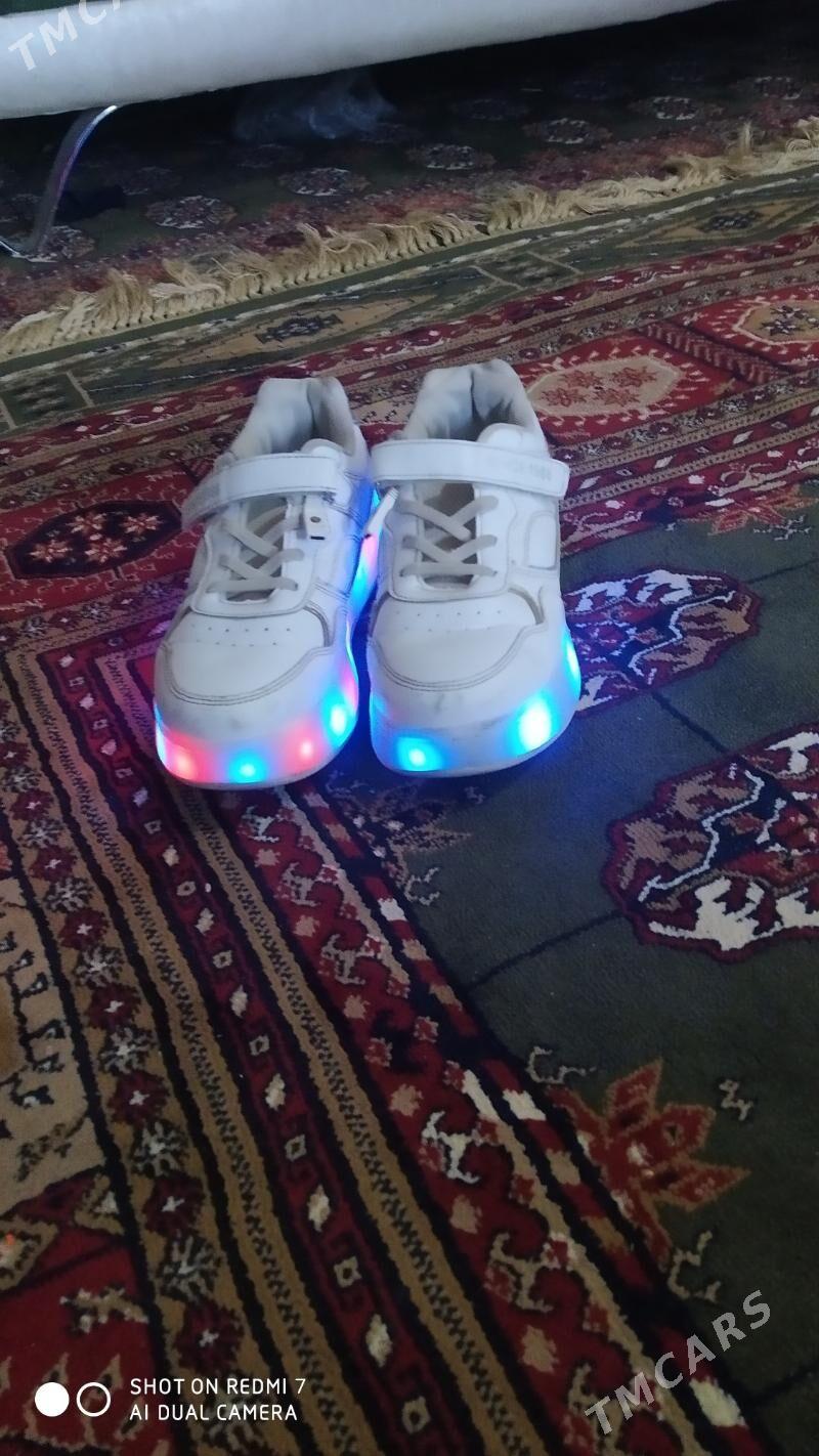 Krasowka rolik - Änew - img 3