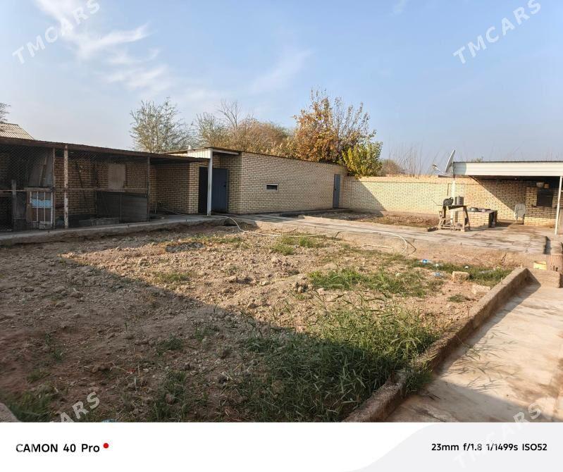 satlyk jaý - Mary - img 2