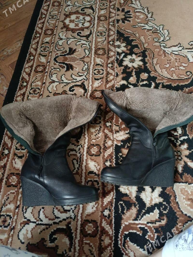 Сапоги Женские Зимние - Дашогуз - img 2