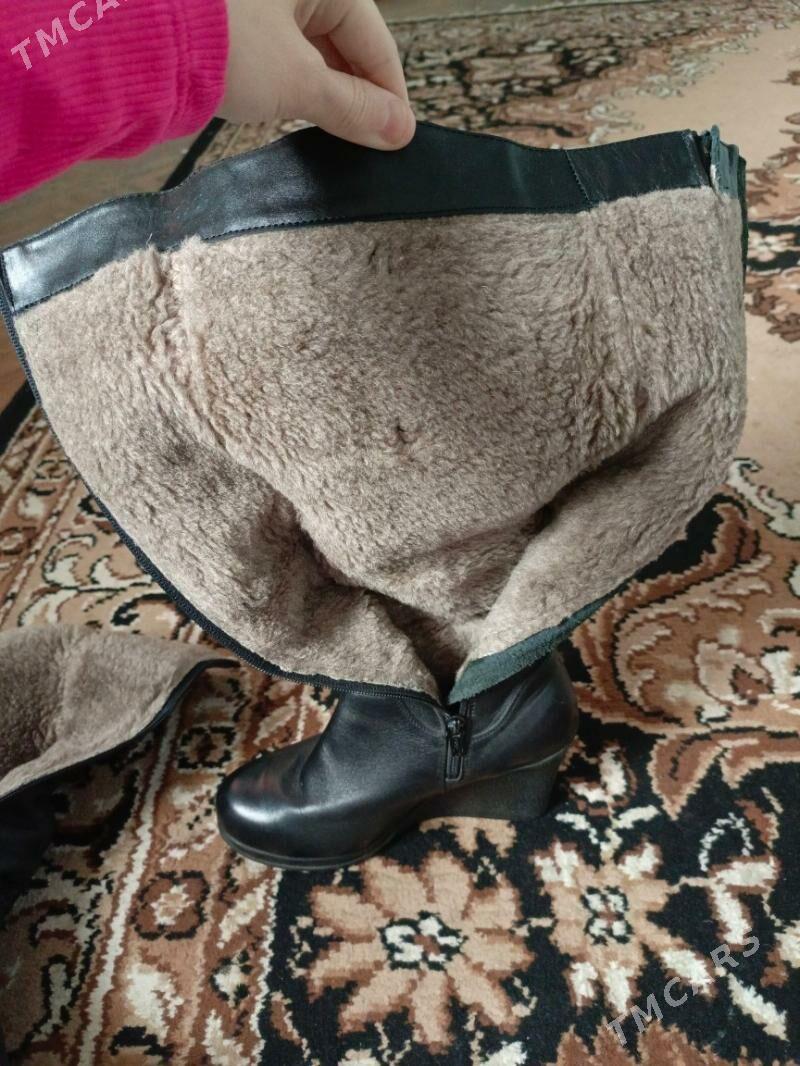Сапоги Женские Зимние - Дашогуз - img 3