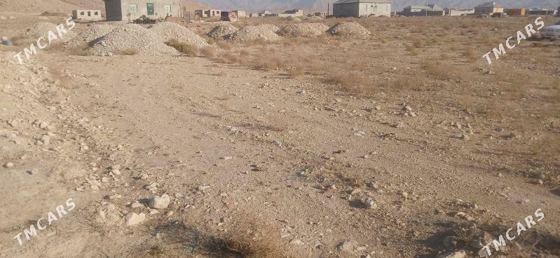 duzmergen dag2 - Balkanabat - img 2