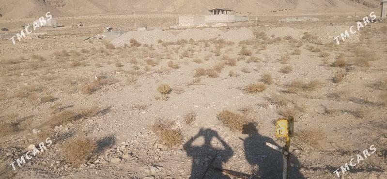 duzmergen dag2 - Balkanabat - img 3