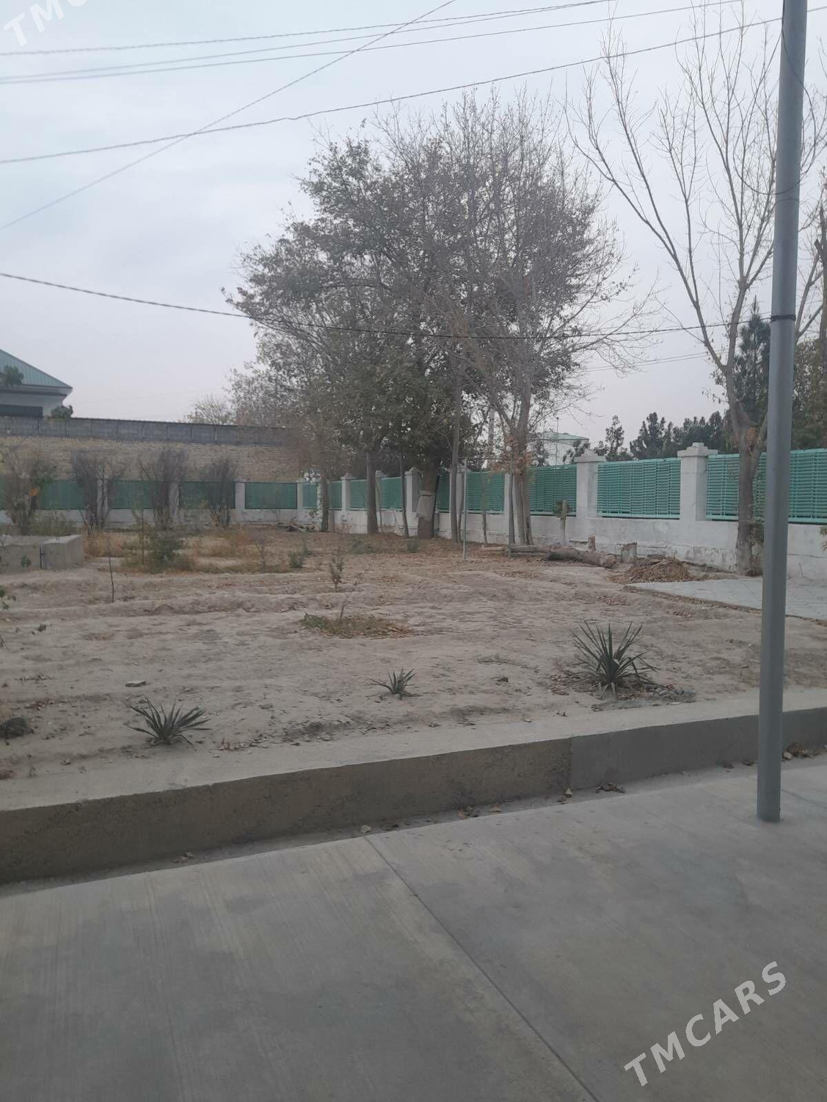 Saltyk_Anew - Aşgabat - img 2