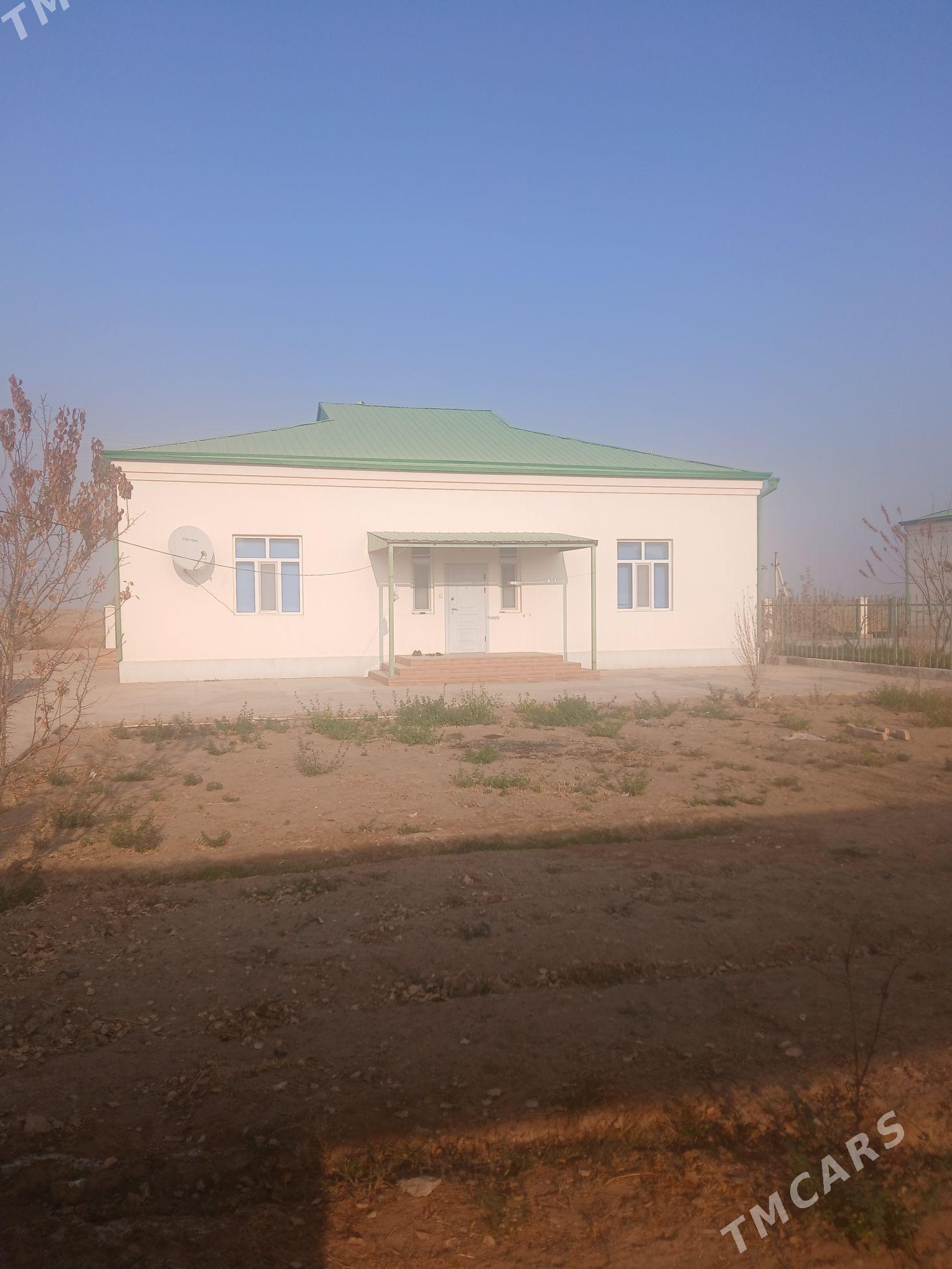 SATLYK 30 ÝYLYK IPOTEKA JAÝ - Mary - img 4