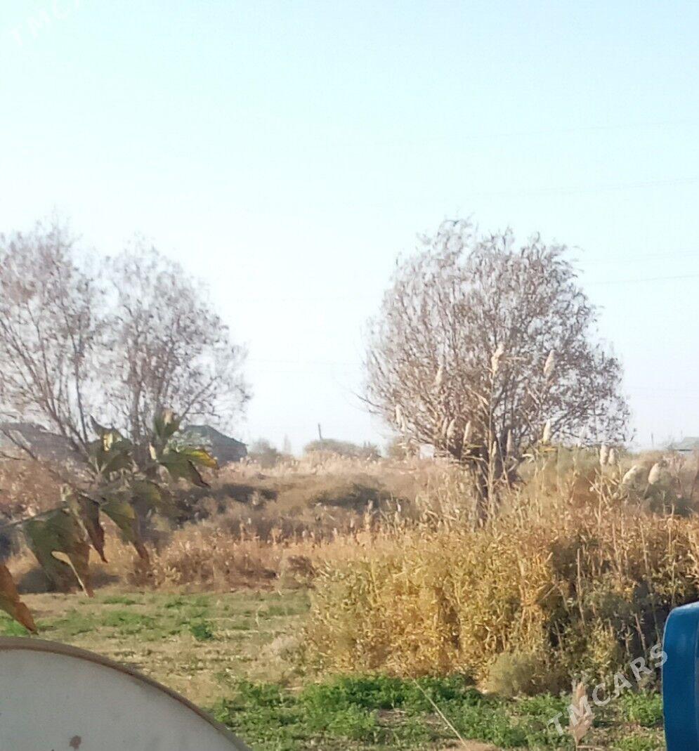 Jay yer. - Babadaýhan - img 2