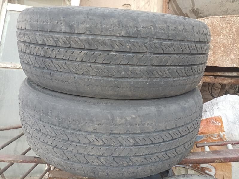 балон тигир 50 TMT - Дашогуз - img 1