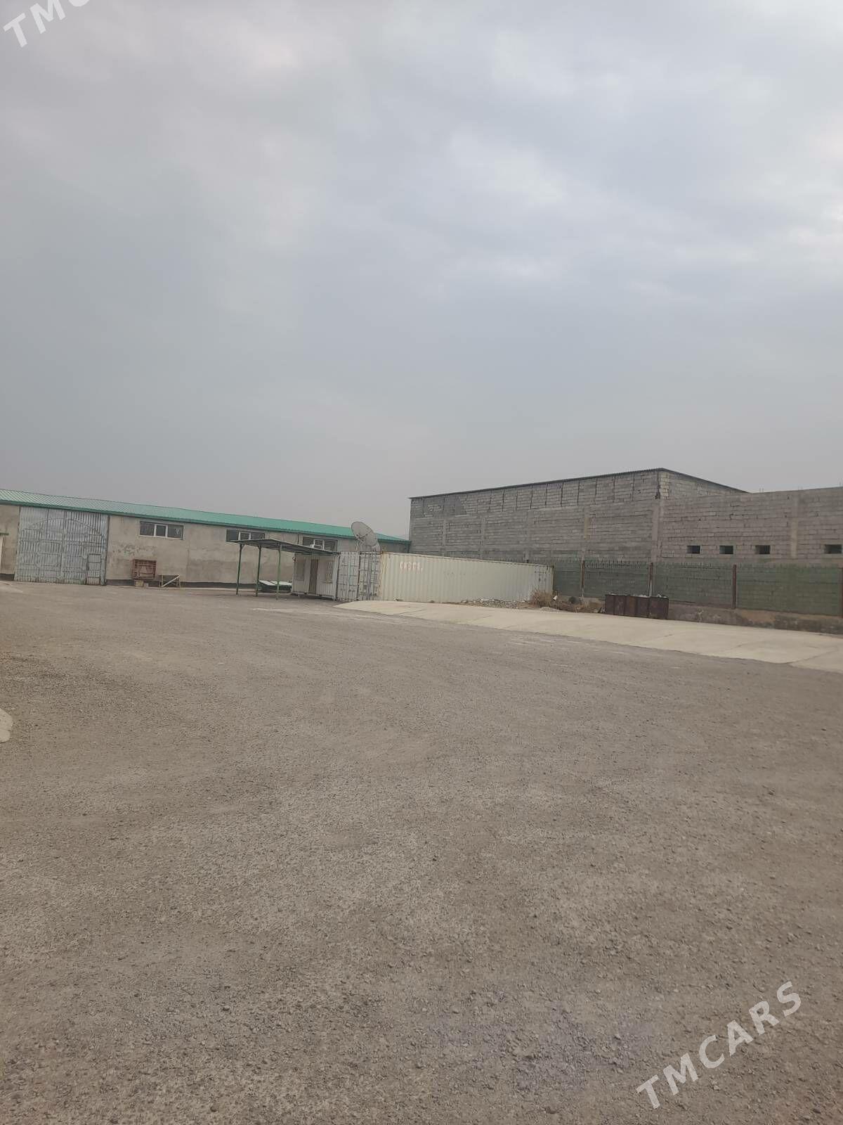 Satlyk_Anew Magtymguly - Änew - img 6