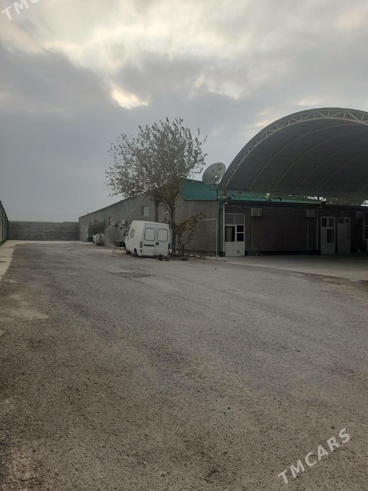 Satlyk_Anew Magtymguly - Änew - img 8