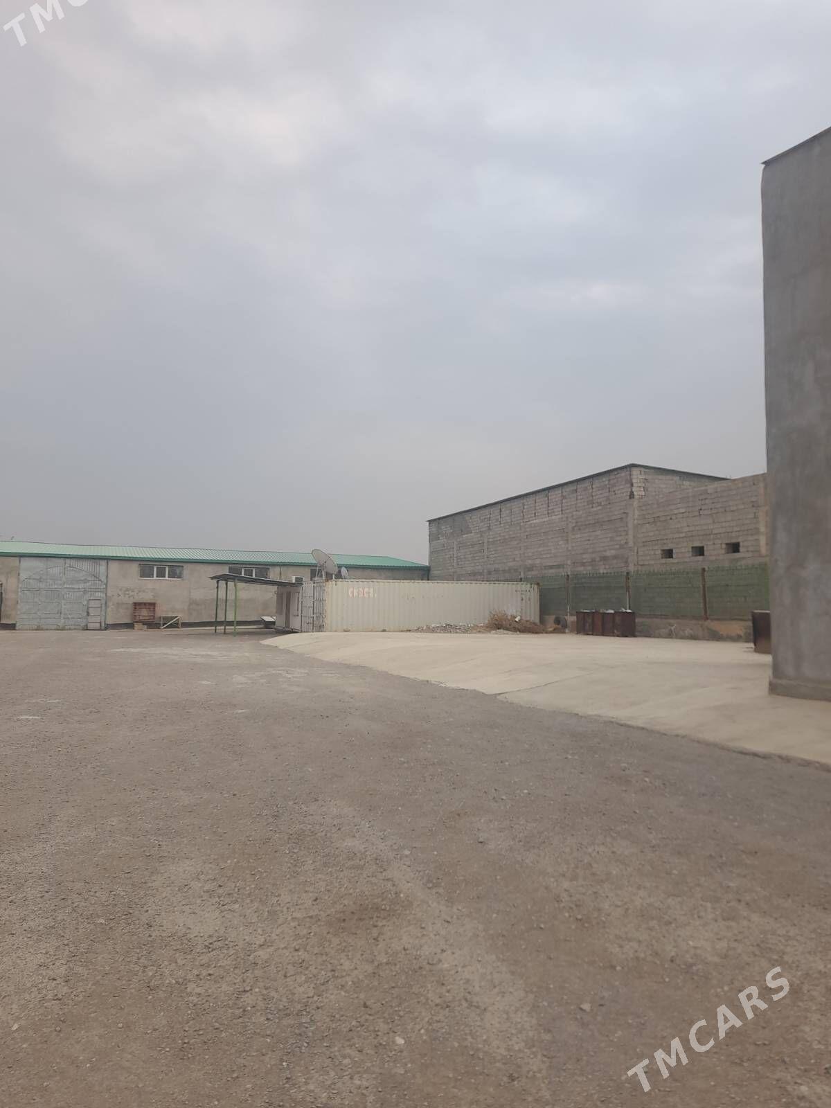 Satlyk_Anew Magtymguly - Änew - img 9