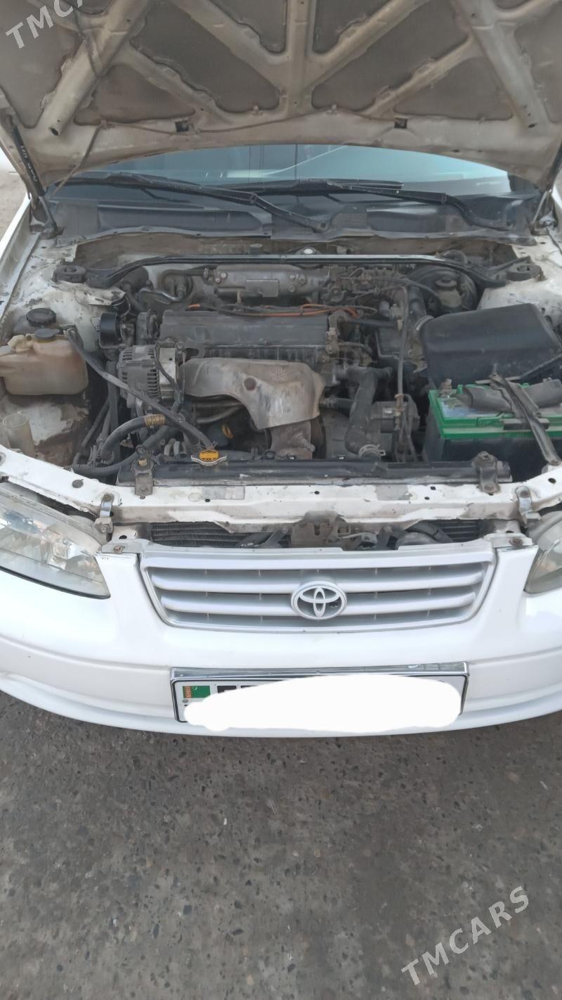 Toyota Camry 2001 - 90 000 TMT - Murgap - img 8