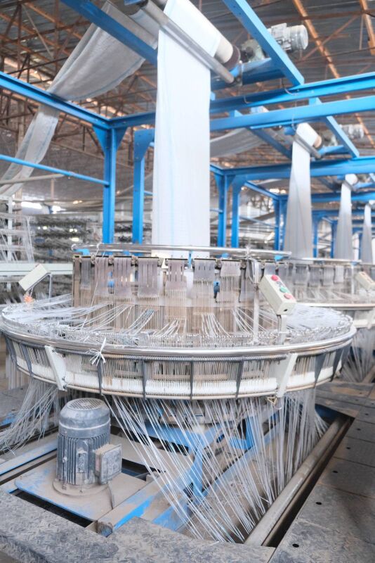 Halta dokayan stanok - Mary - img 1