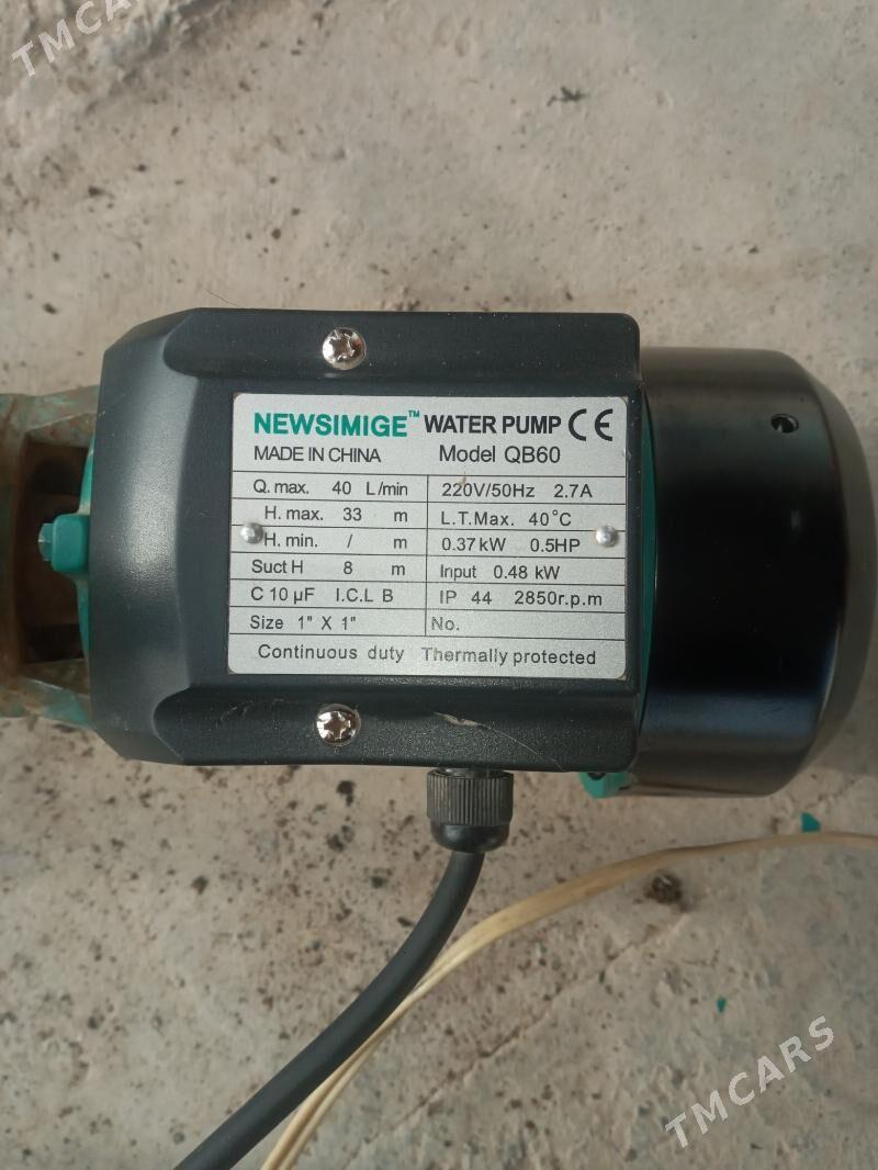 ŞHIMGE.NASOZ.40.LIK. - Gurbansoltan Eje - img 1