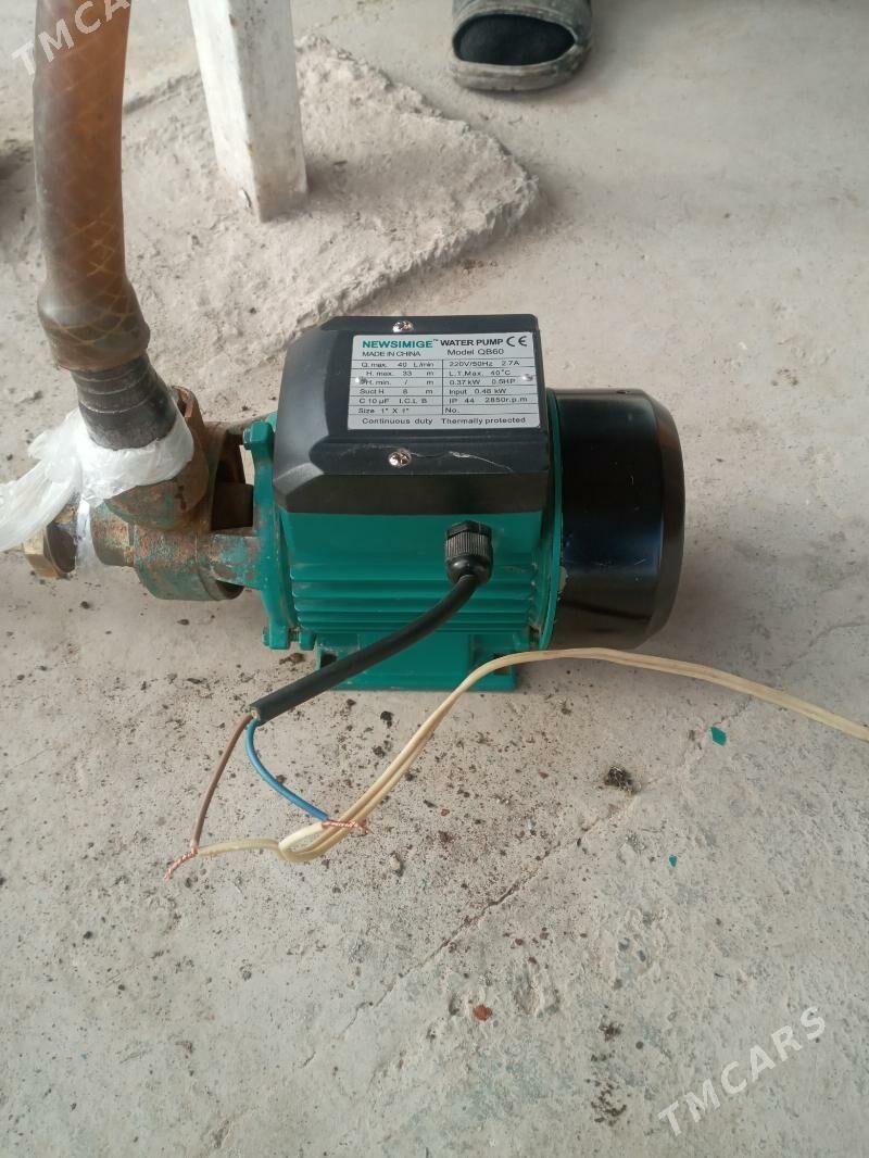 ŞHIMGE.NASOZ.40.LIK. - Gurbansoltan Eje - img 2