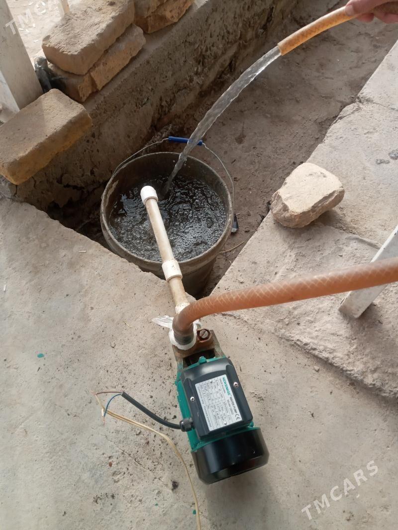 ŞHIMGE.NASOZ.40.LIK. - Gurbansoltan Eje - img 3