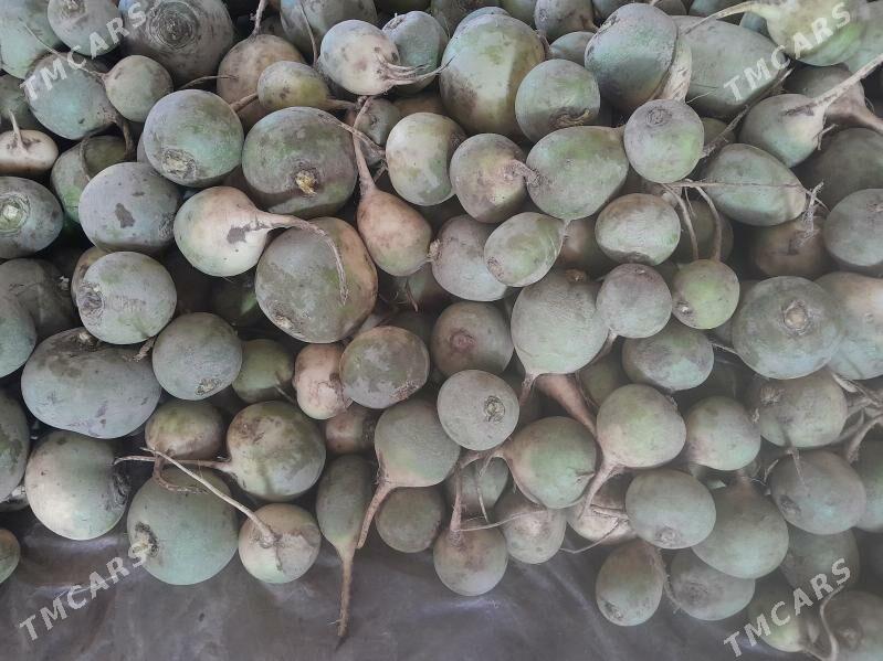 tülp - Gurbansoltan Eje - img 2