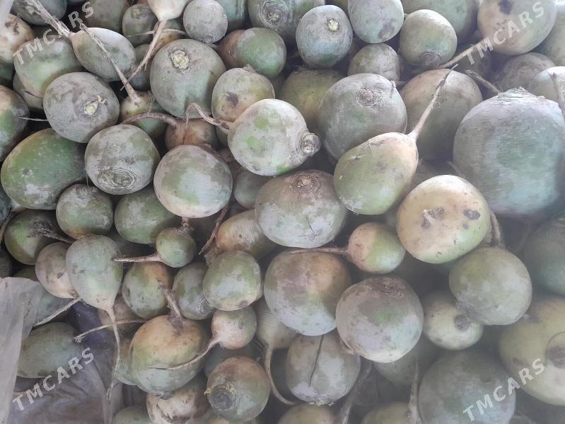 tülp - Gurbansoltan Eje - img 1