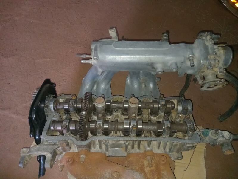 samsyk kemri 2 2 galowkasy 1 000 TMT - Mary - img 2