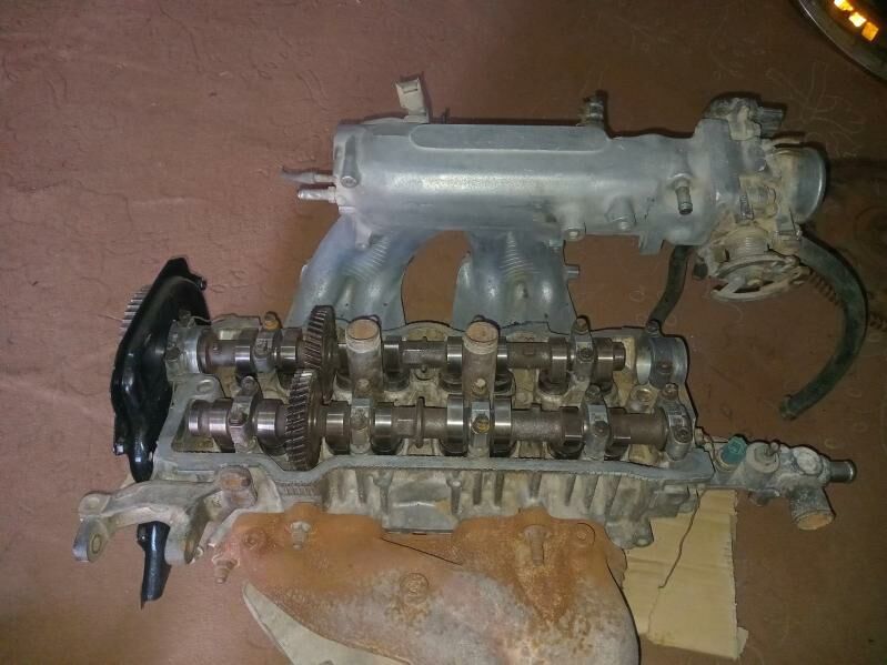 samsyk kemri 2 2 galowkasy 1 000 TMT - Mary - img 3