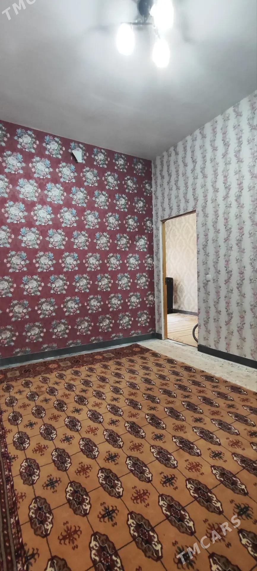 kireyne howly jay - Garadamak - img 5