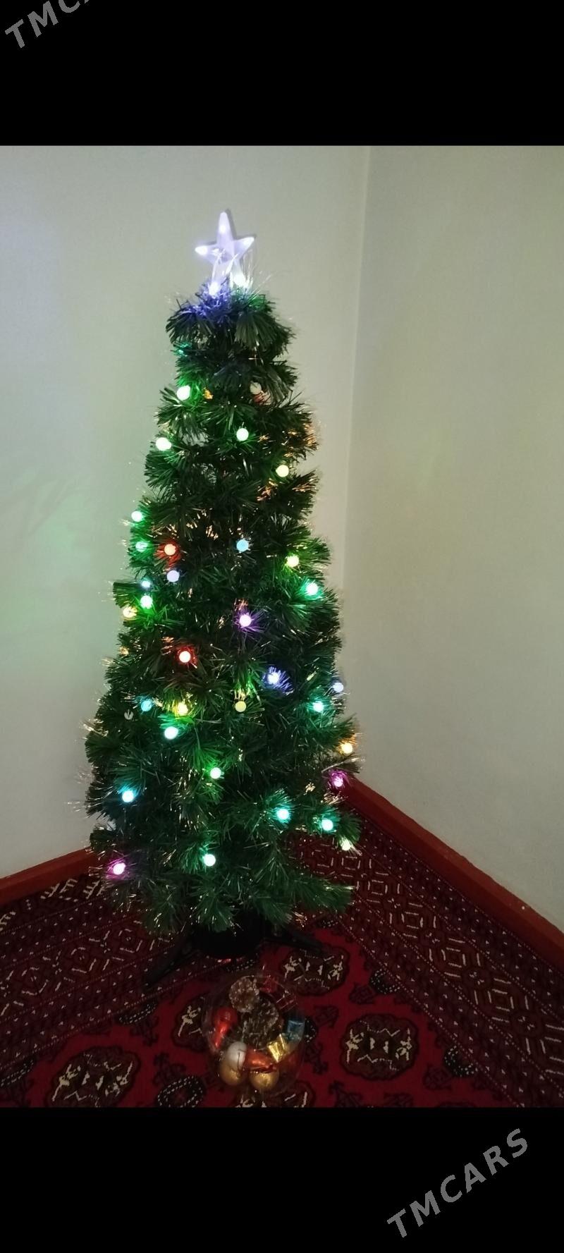 Arça, yolka - Анев - img 1