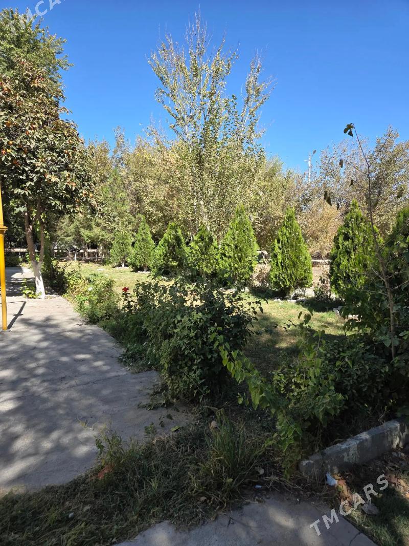 6mk 3kom 1et yewro - Ашхабад - img 4